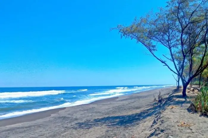 Pantai Goa Cemara, Surga Bahari Eksotis yang Kaya Pesona di Jogja