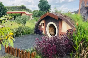 Kebun Raya Banua, Objek Wisata Edukasi Favorit untuk Liburan Keluarga di Banjarbaru