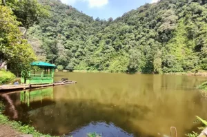 Tempat Wisata Terbaik di Puncak yang Wajib Dikunjungi untuk Liburan Seru